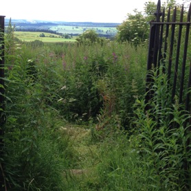 Abandoned, the entrance gates hung open