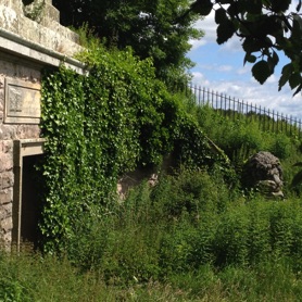 Nature was slowly reclaiming this forgotten place